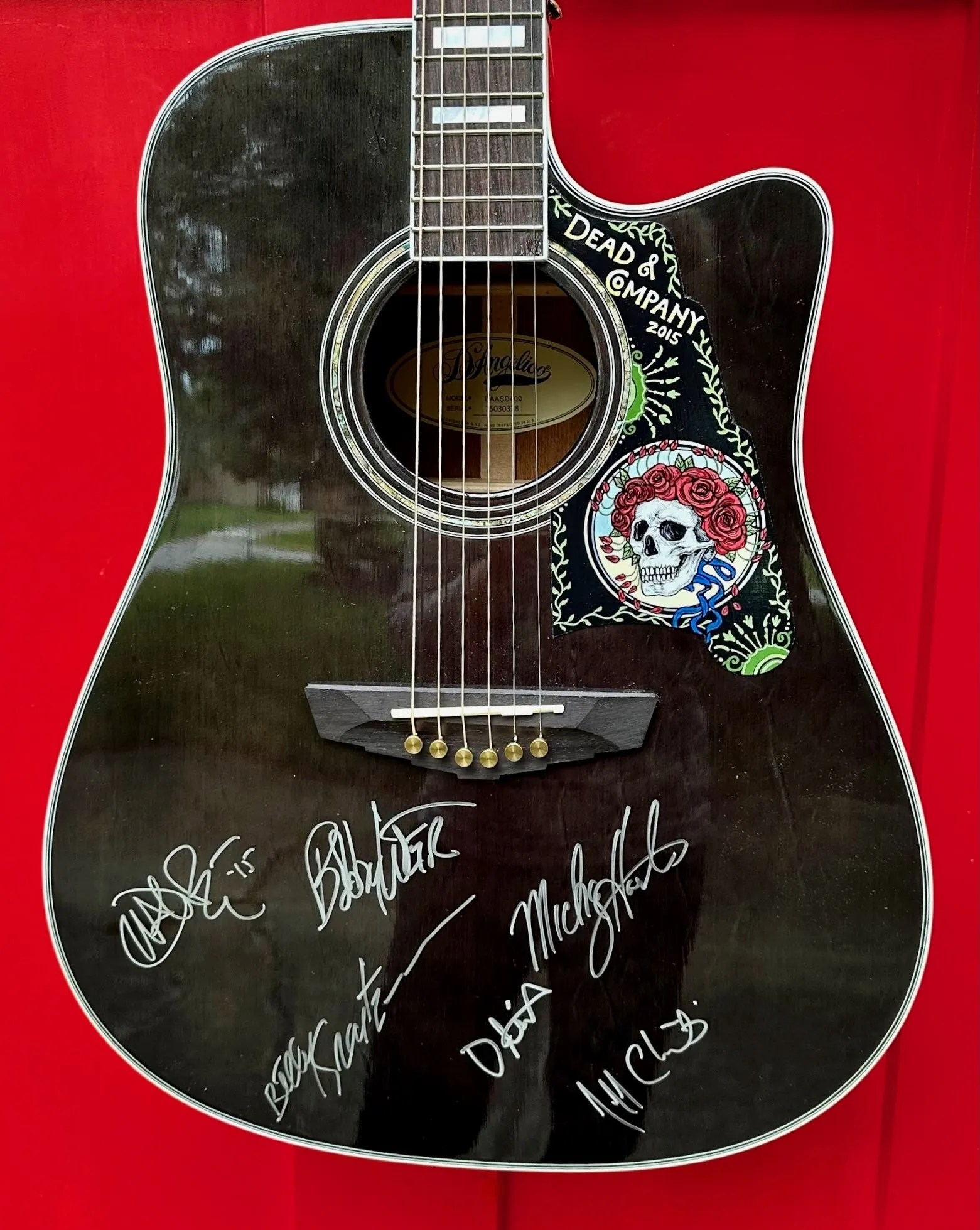 Dead and Company band signed guitar 4
