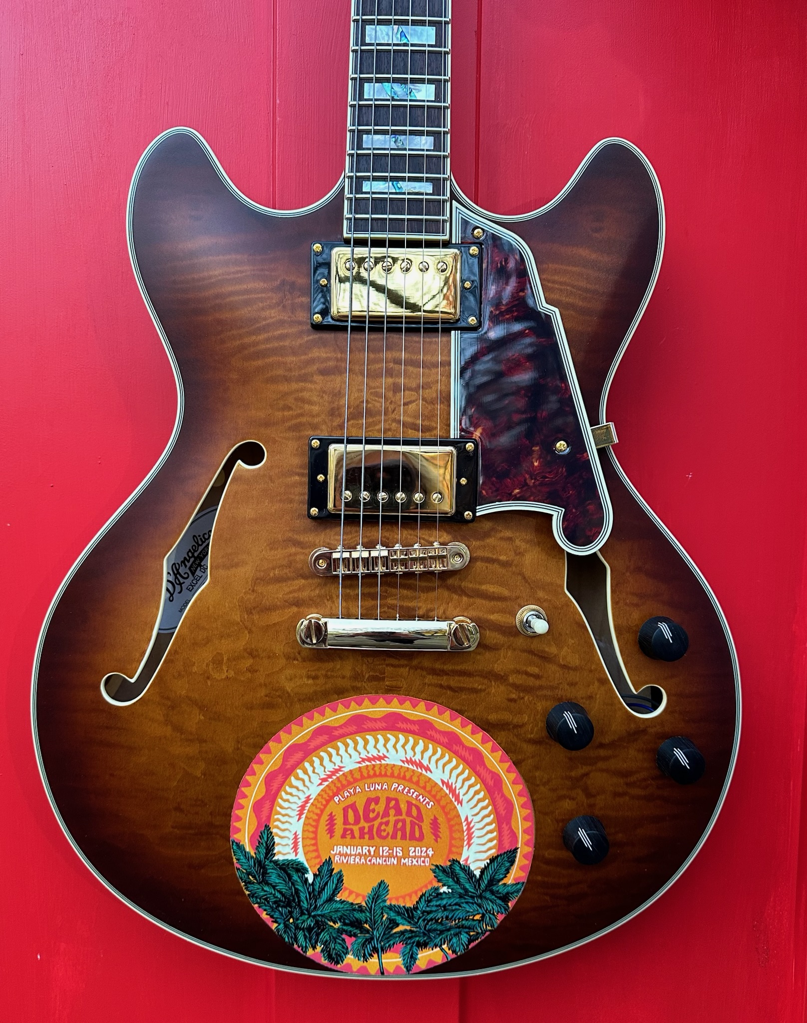 Dead and Company guitar 9