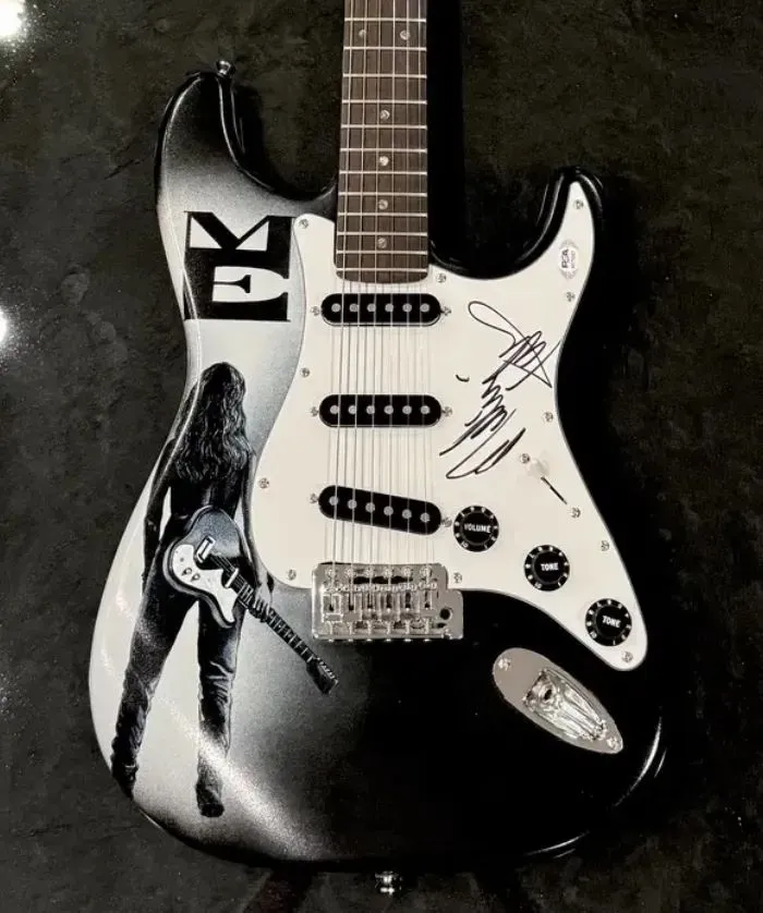 Melissa Etheridge 1 painted guitar
